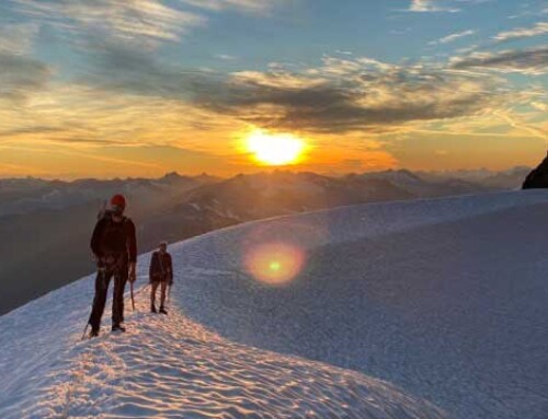 Injury Prevention and Optimizing Return to Activity