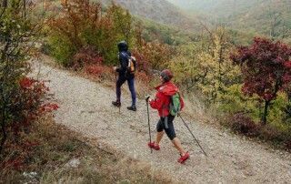 Simply Go For A Walk!