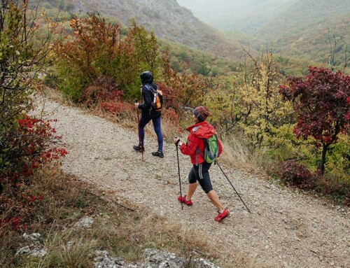 Simply Go For A Walk